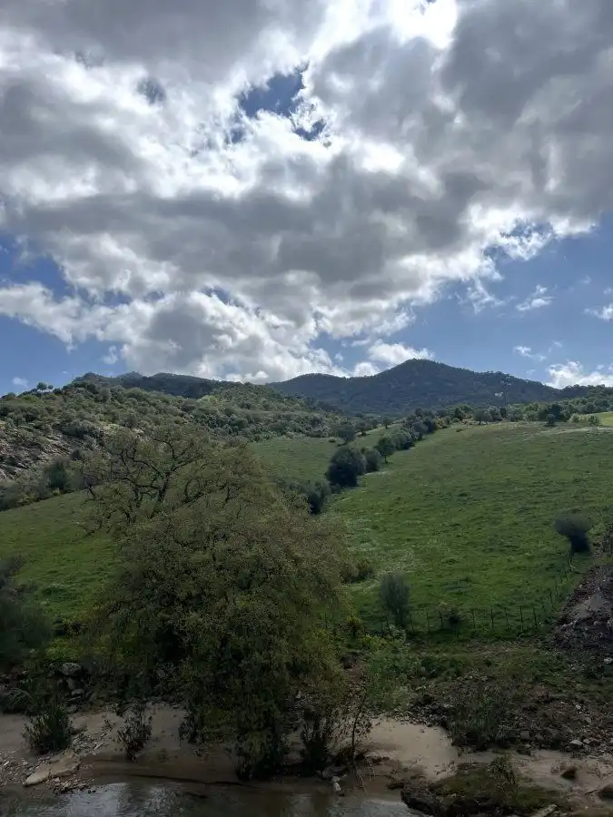 Casa rústica en venta en Cortes de la Frontera, imagen 4