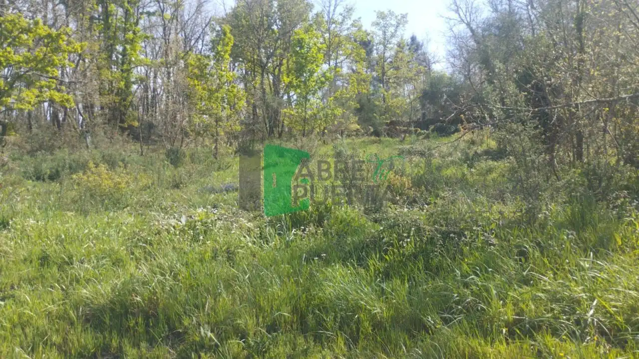 Terreni e lotti in vendita a San Cibrao das Viñas, imagen 2