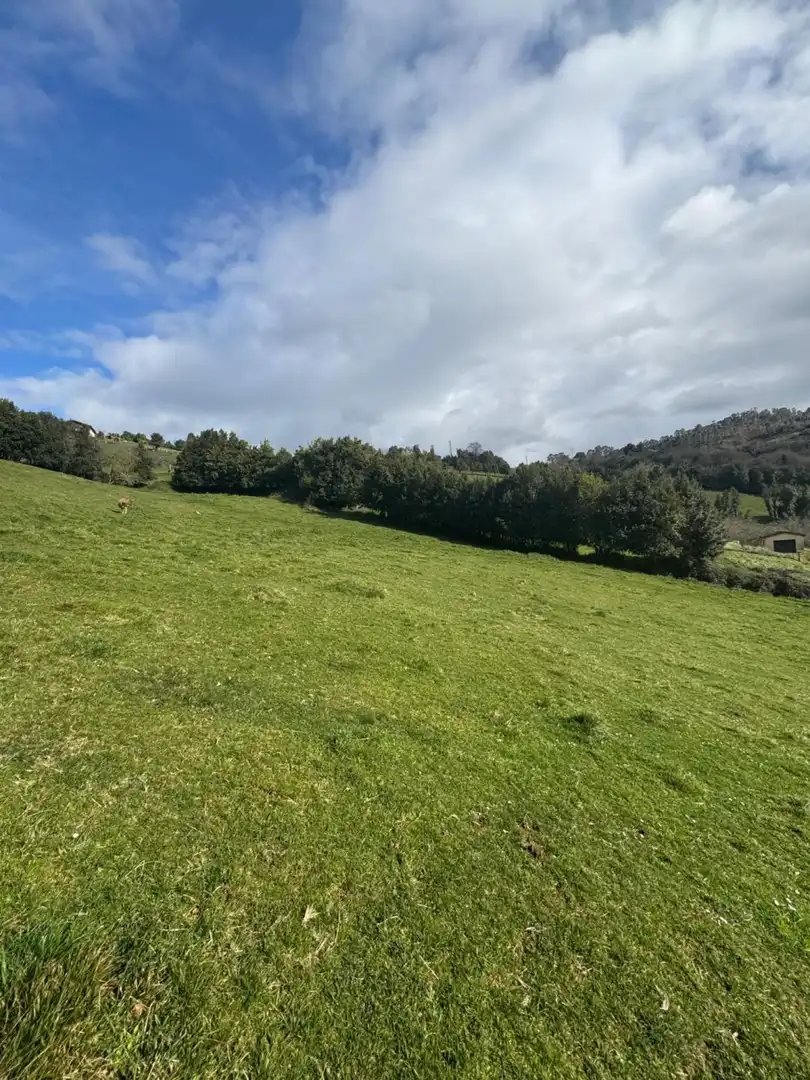 Terreny residencial en venda a Rural, imagen 19