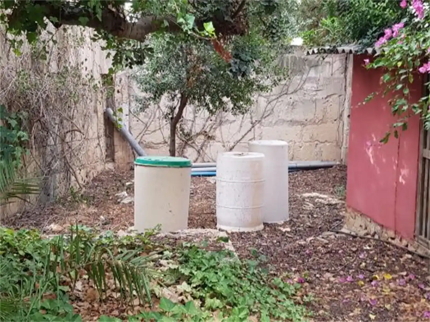 Jardín de Casa o chalet en venta en  Palma de Mallorca