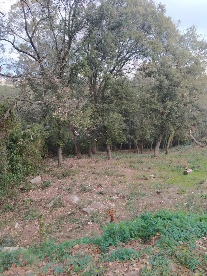 Residential land for sale in Gualba, imagen 2