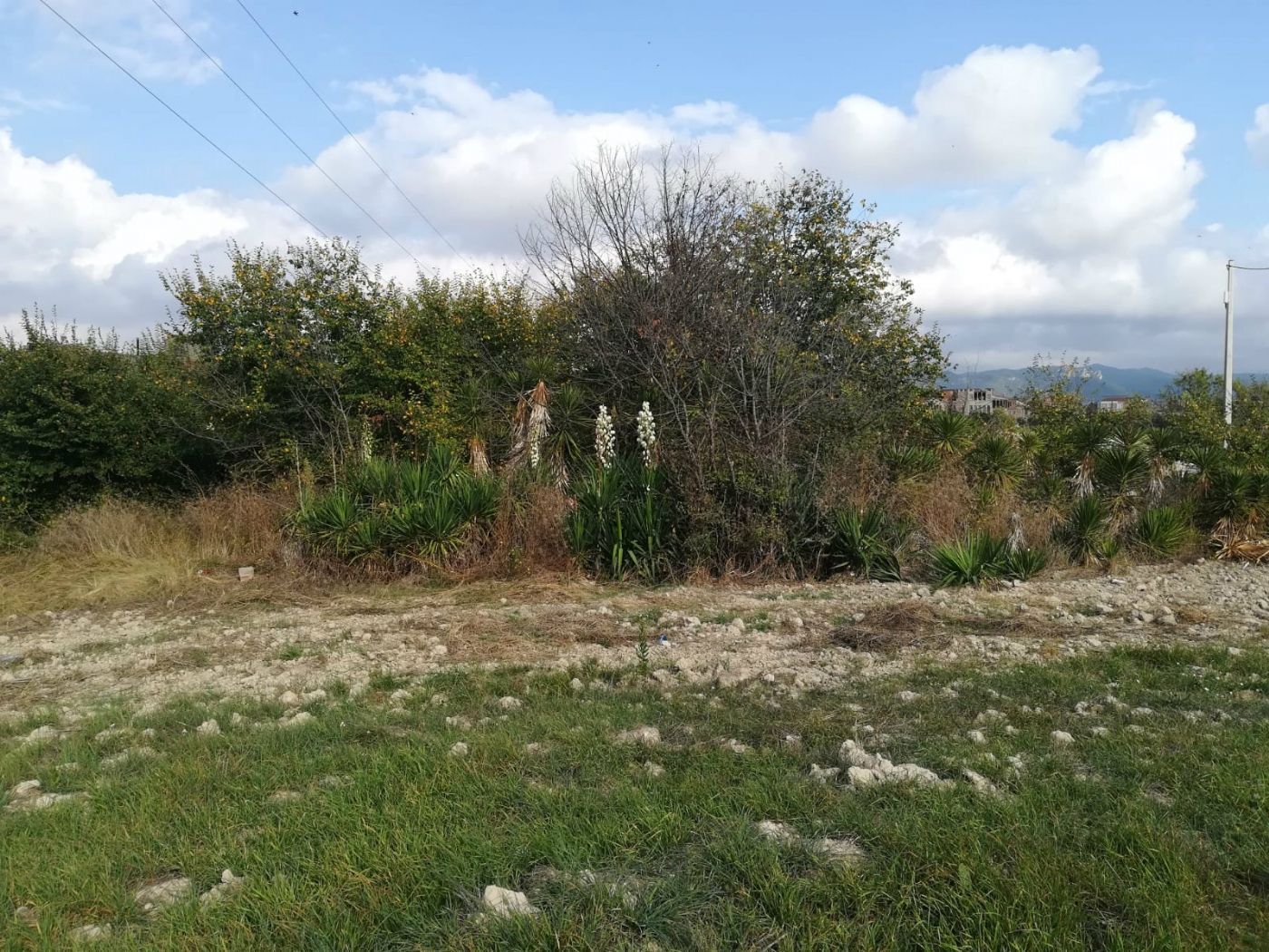Residential for sale in Santa Margarida de Montbui