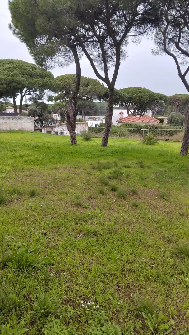 Residential land for sale in Los Franceses – La Vega, imagen 2