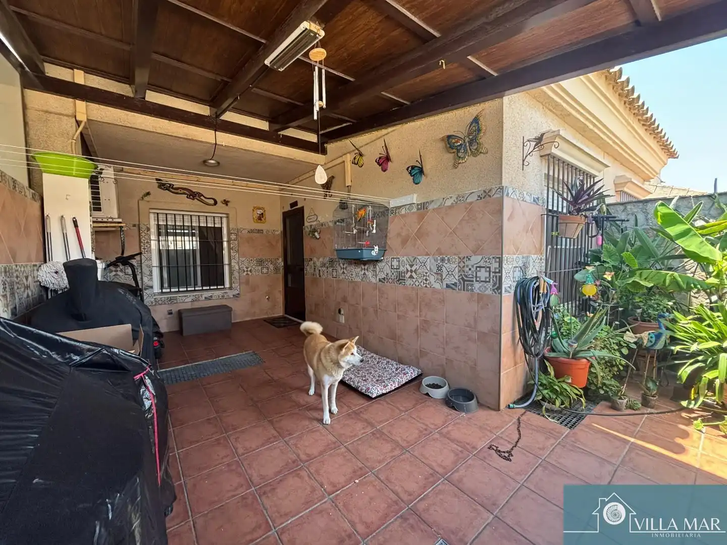 Exterior view of Detached homes for sale in Rota