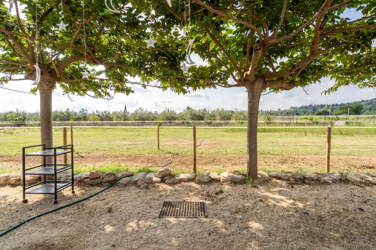 Country house for sale in Vial Camino 144, imagen 4