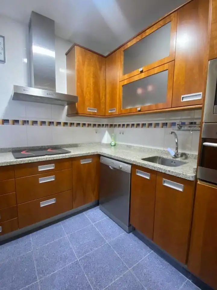 Cuina de Apartament de lloguer en León Capital  amb Calefacció, Parquet i Moblat