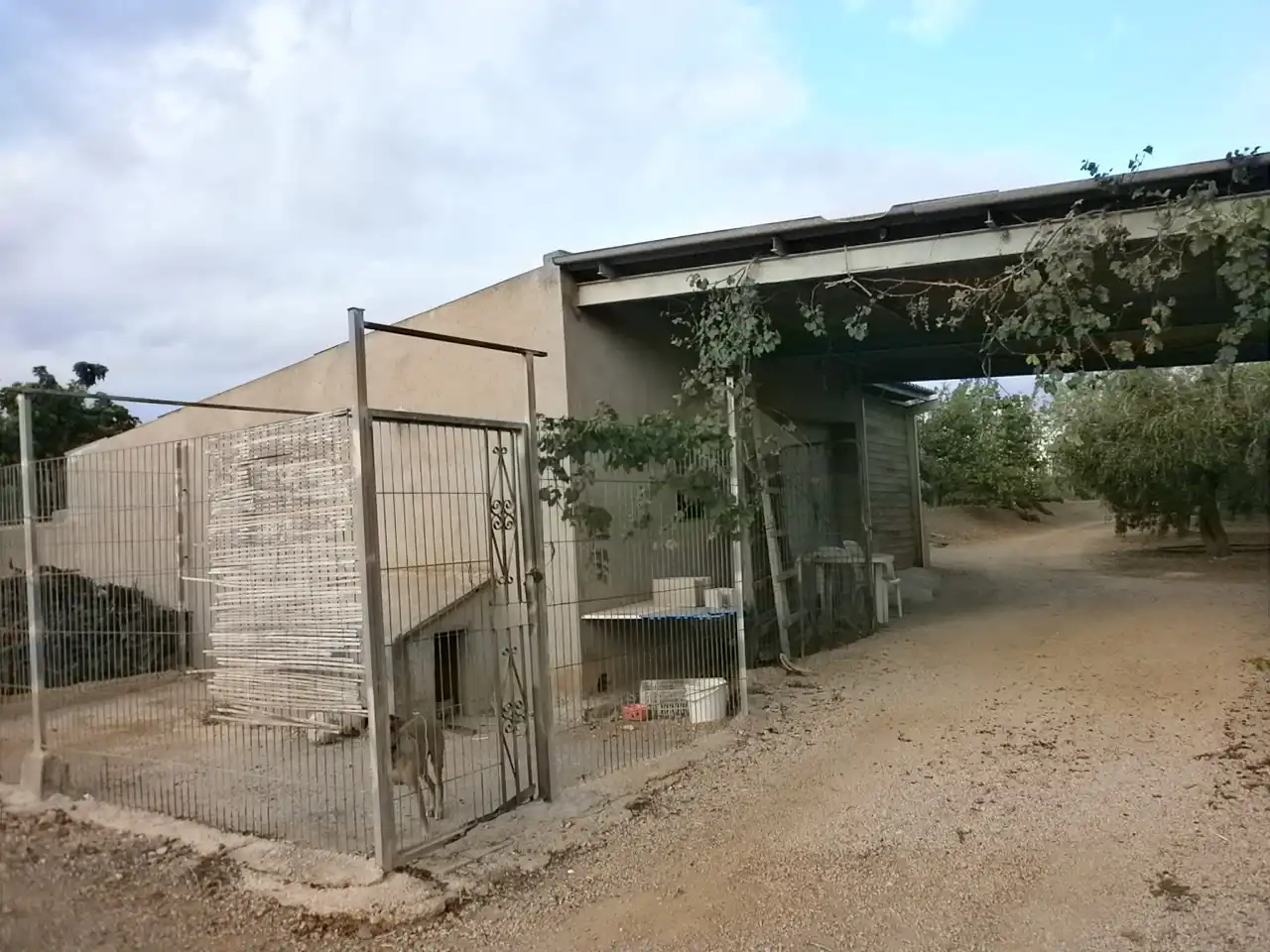 Rural land for sale in Carrer Pont del Cinto, imagen 19