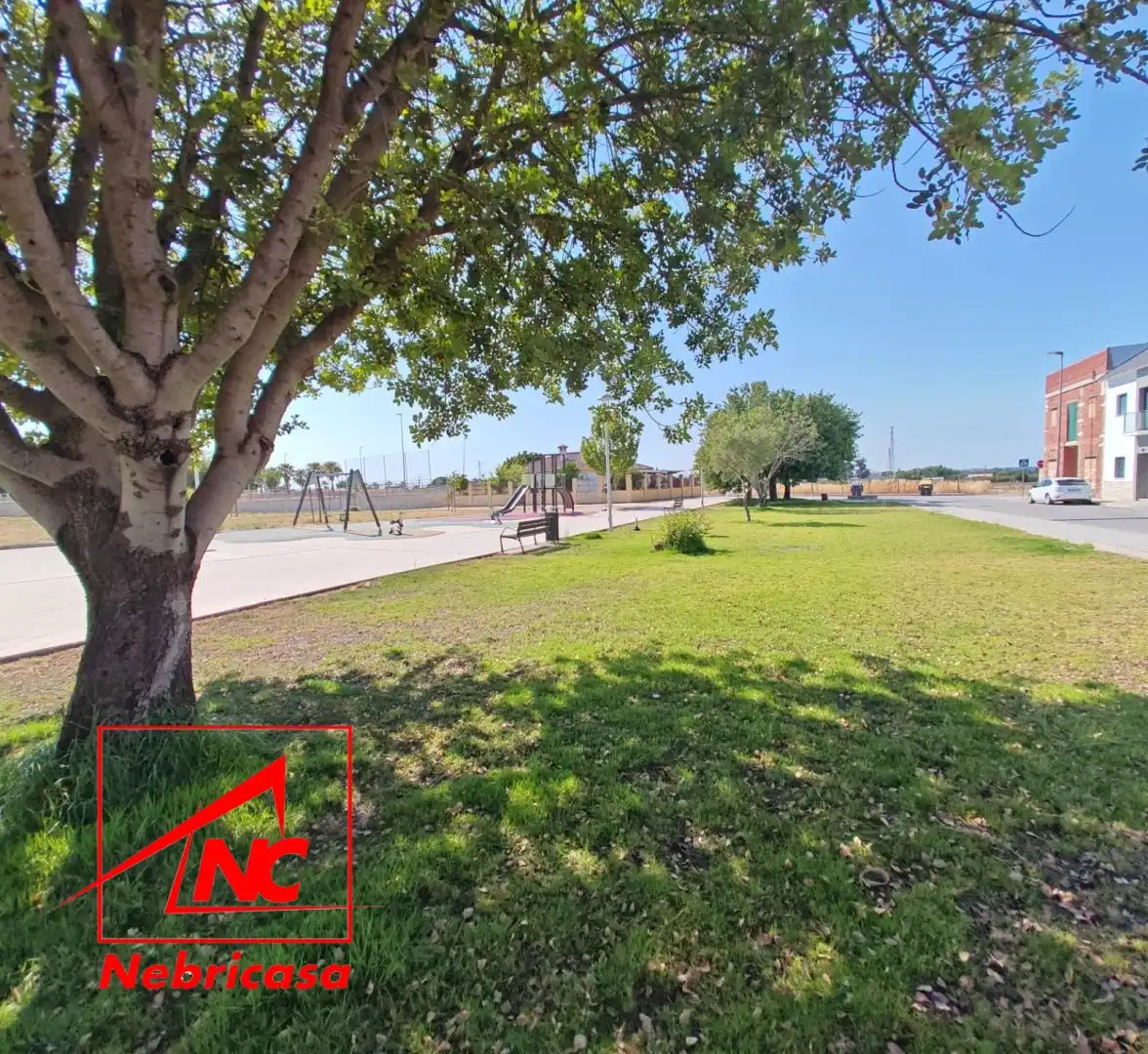 Lands and plots for sale in El Cuervo de Sevilla, imagen 5