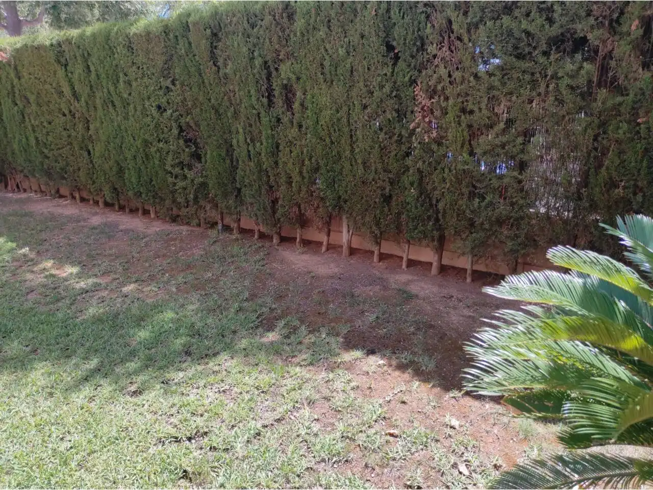 Flat for sale in  Palma de Mallorca  with Air Conditioner, Private garden and Terrace