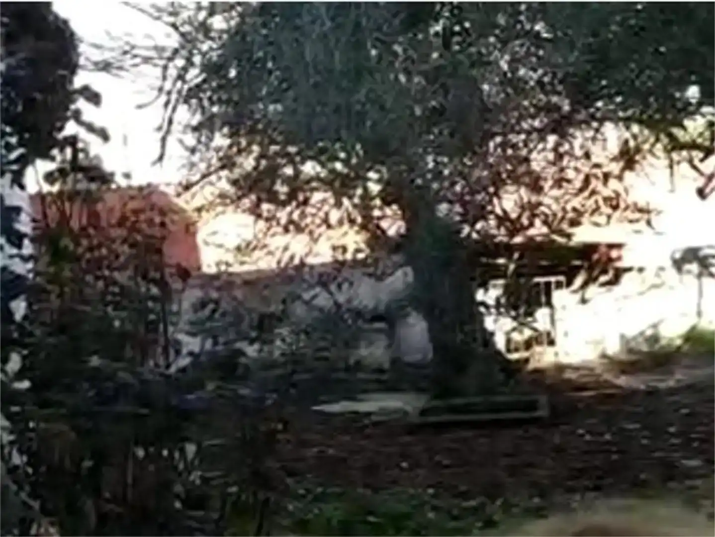 Vista exterior de Casa adosada en venda en Torrejoncillo amb Jardí privat