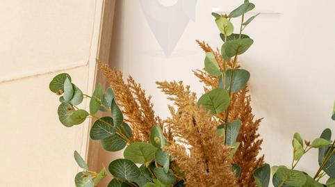 Photo 4 of Flat for sale in Moxo, Salins - Cavall de Mar, Girona