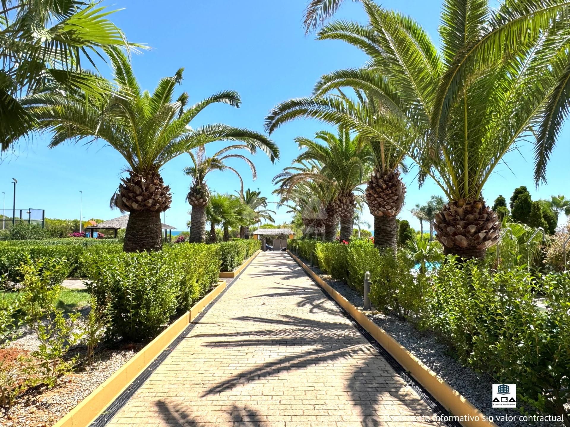Exterior view of Planta baja for sale in Alcalà de Xivert  with Air Conditioner, Heating and Private garden