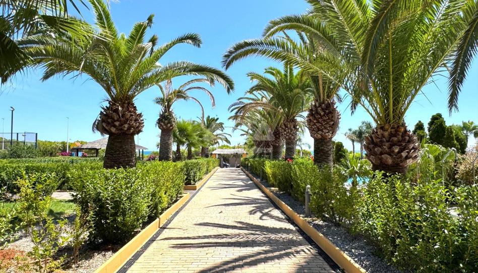 Photo 1 of Planta baja for sale in Camino L´átall , 66, Alcossebre, Castellón