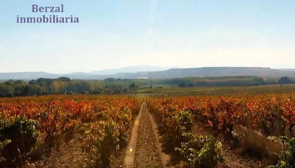 Terreny rústic en venda a Carretera A-4205, imagen 4