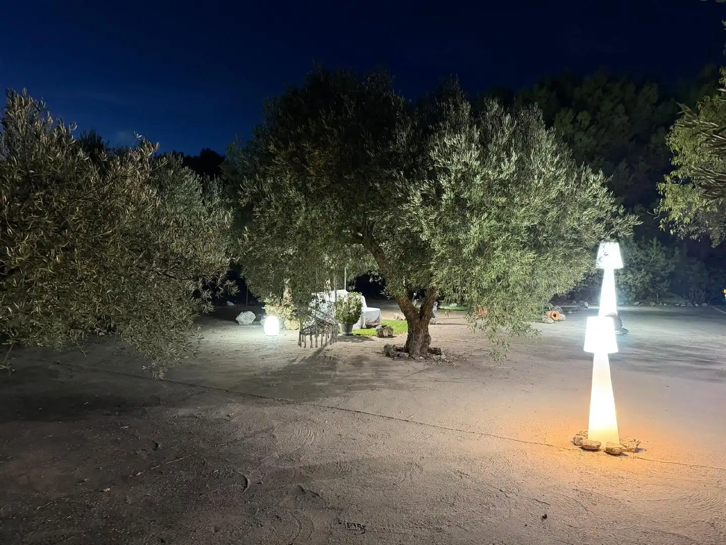 Terreni e lotti in vendita a Chinchón, imagen 13