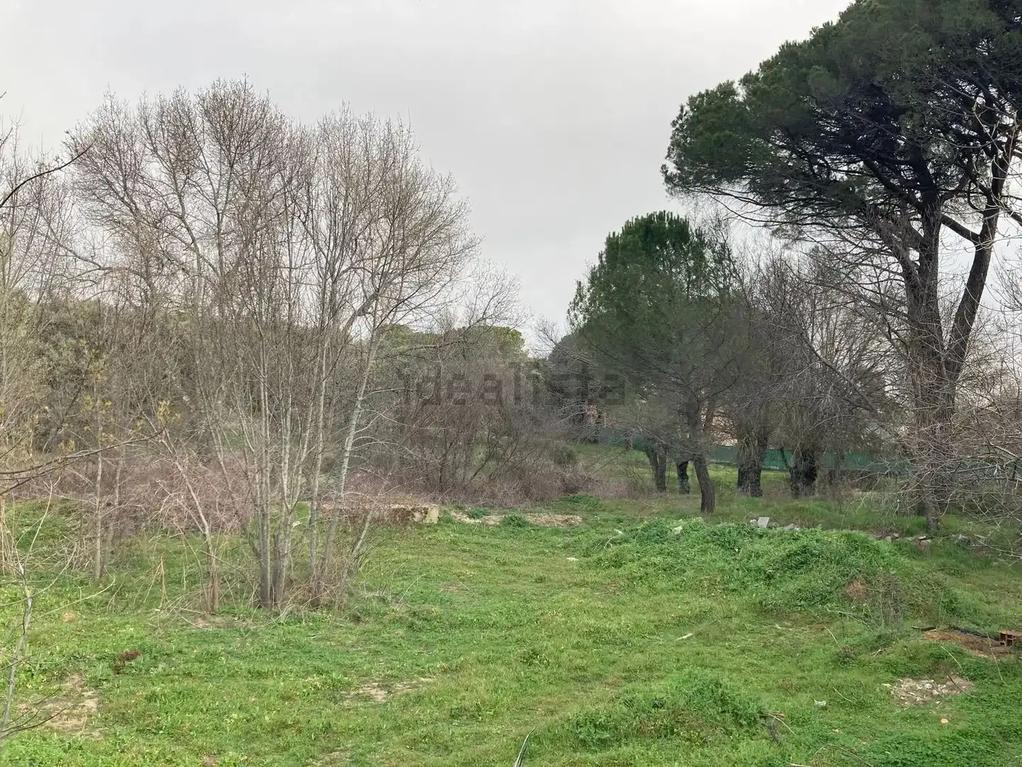 Residential land for sale in Urbanización Sotogrande 3, imagen 4