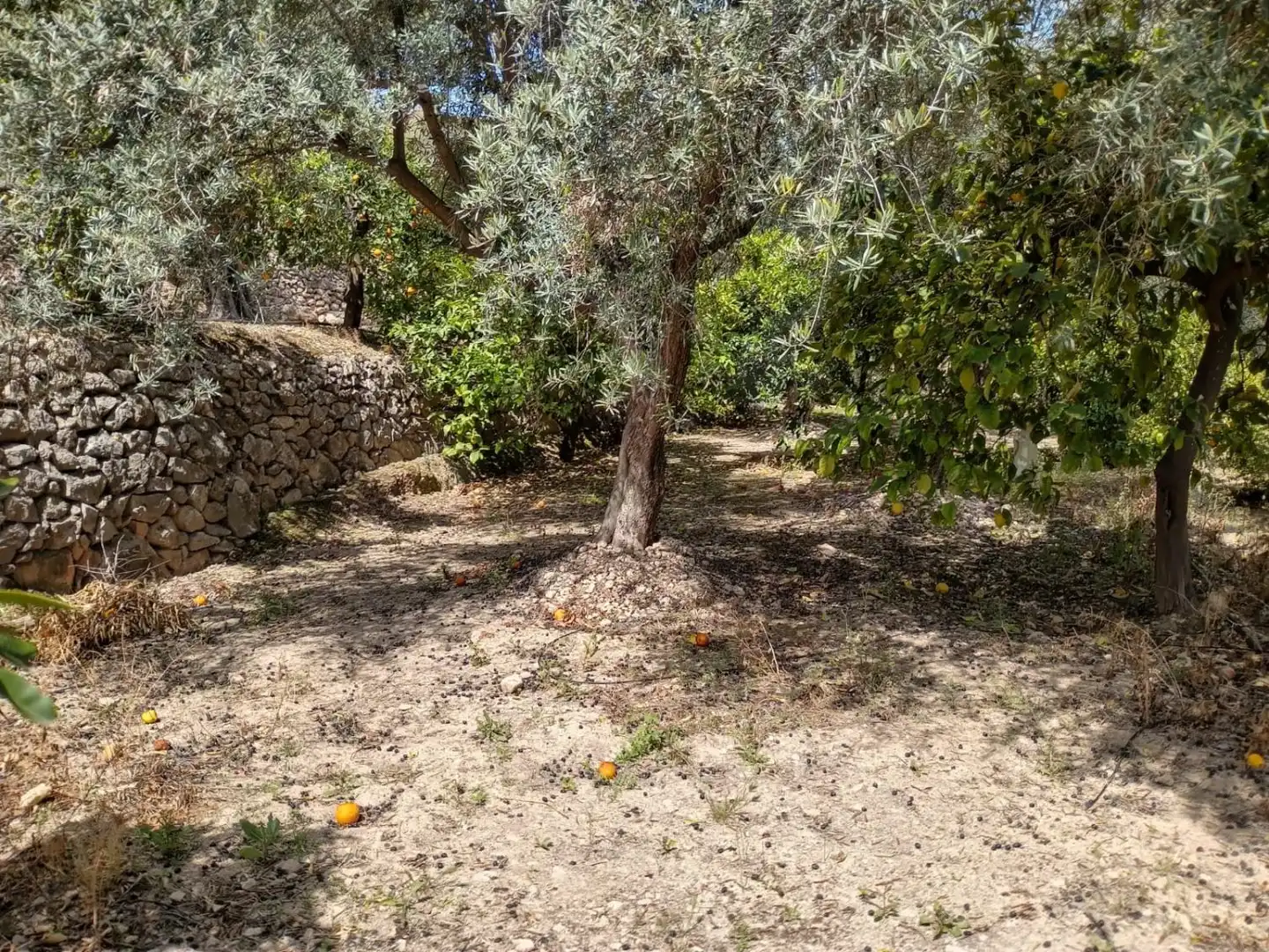 Terreni e lotti in vendita a El Valle, imagen 25