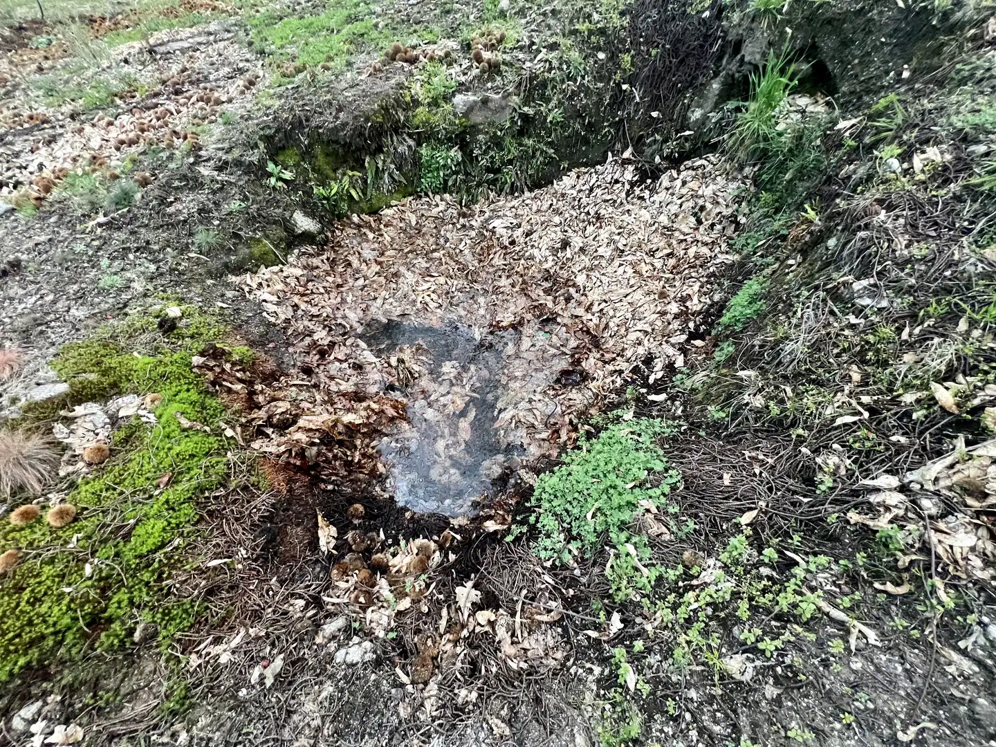 Garten von Grundstücke zum Verkauf in Garganta la Olla