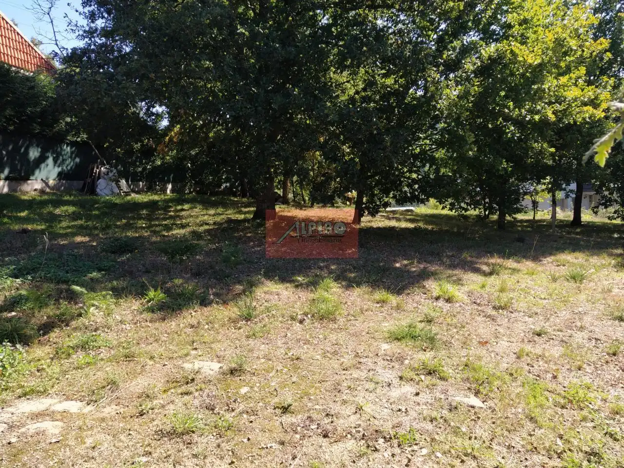 Terreni e lotti in vendita a O Pereiro de Aguiar, imagen 5