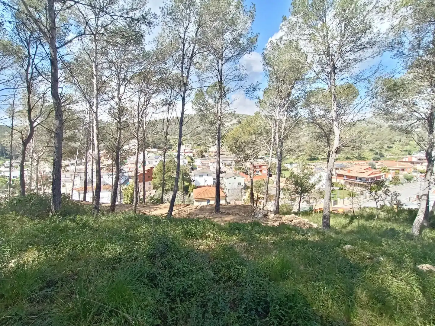 Terreno residencial en venta en Carrer PRINCIPAL 29, imagen 6