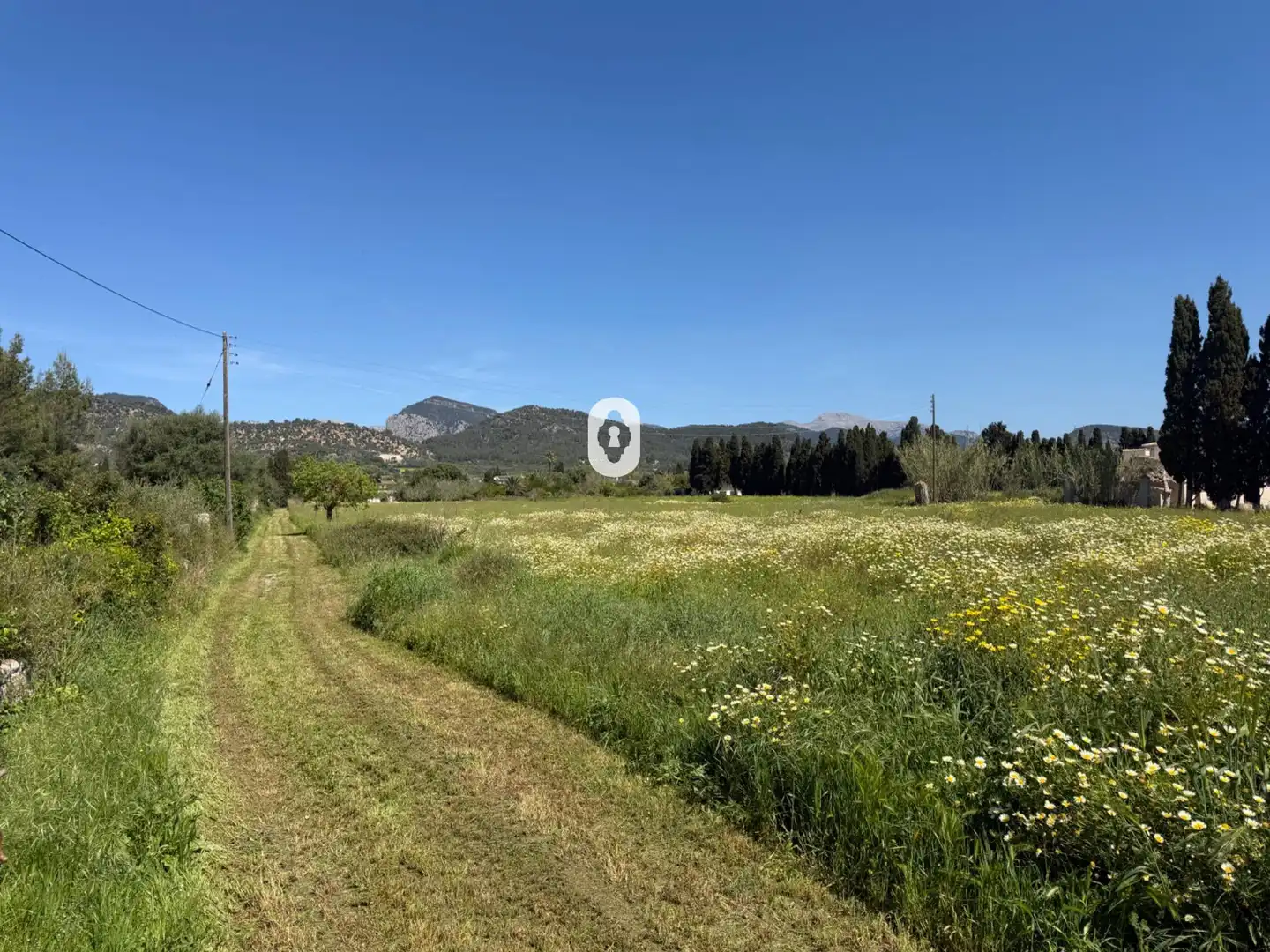 Finca rústica en venta en Binissalem
