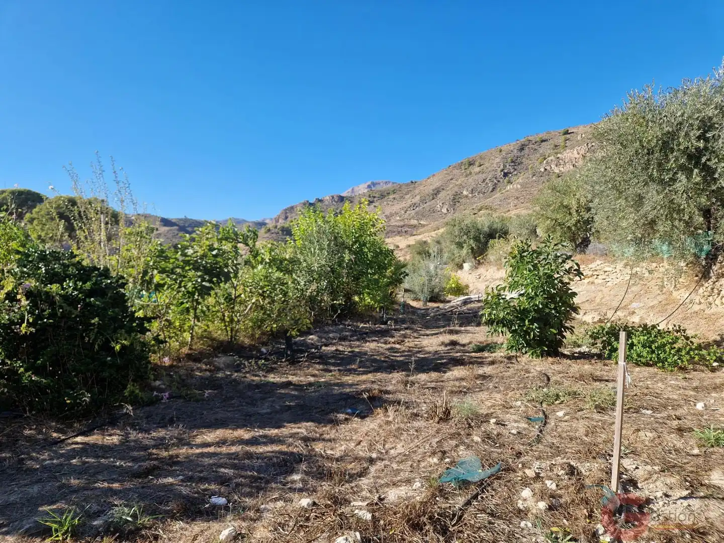 Casa rústica con piscina en venta en Los Guájares, imagen 28