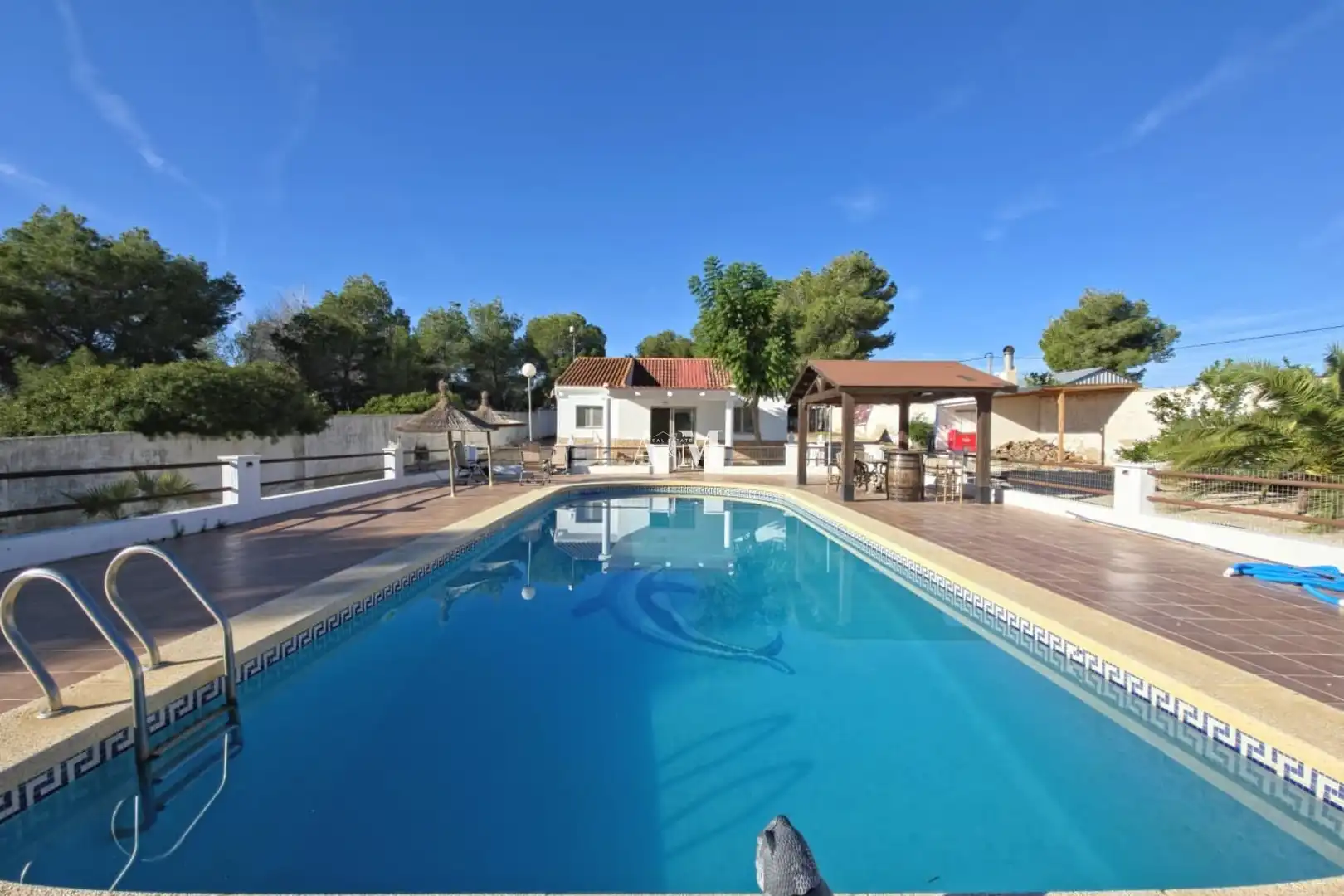 Piscina de Casa o xalet de lloguer en Pilar de la Horadada amb Aire condicionat, Calefacció i Jardí privat