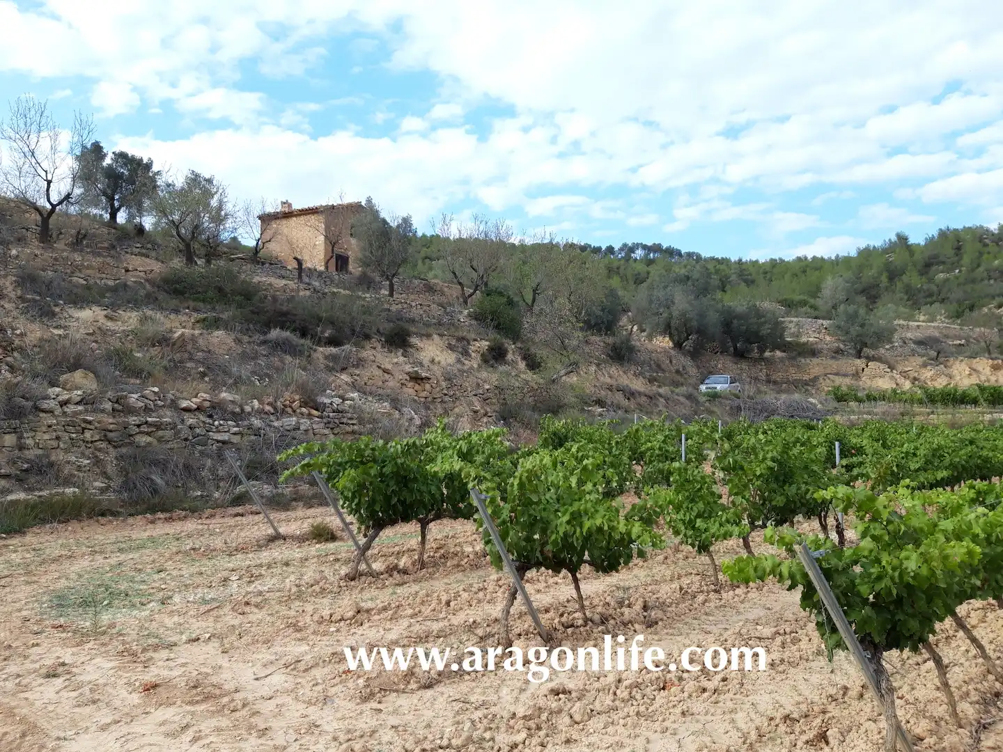 Finca rústica en venda en Caseres