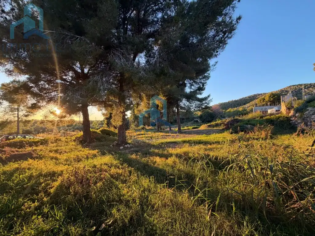 Residential land for sale in Calle Alegria, imagen 8