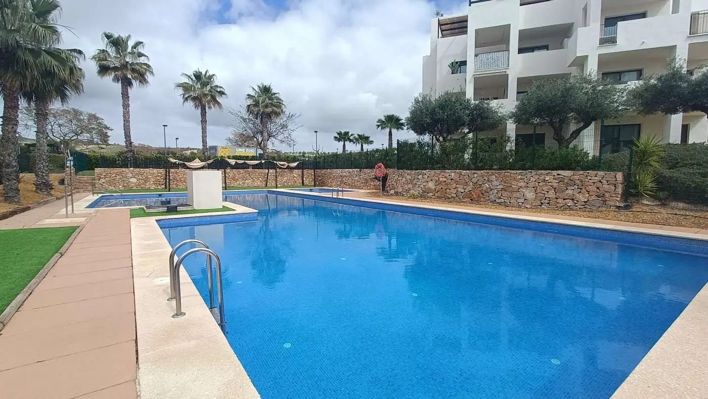Swimming pool of Apartments for sale in Campo de Murcia