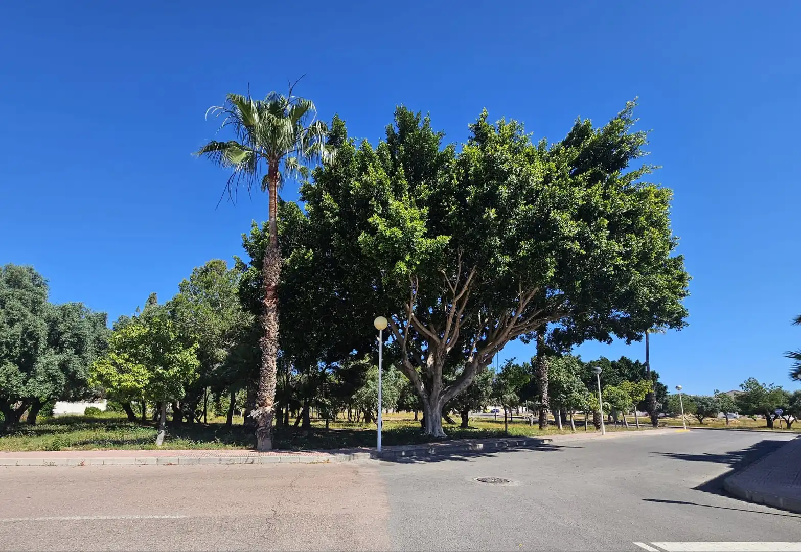 Vista exterior de Casa o chalet en venta en Rojales con Aire acondicionado, Jardín privado y Terraza