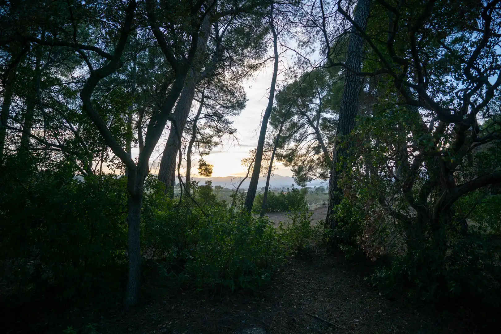 Vista exterior de Finca rústica en venta en Ibi con Jardín privado, Terraza y Piscina