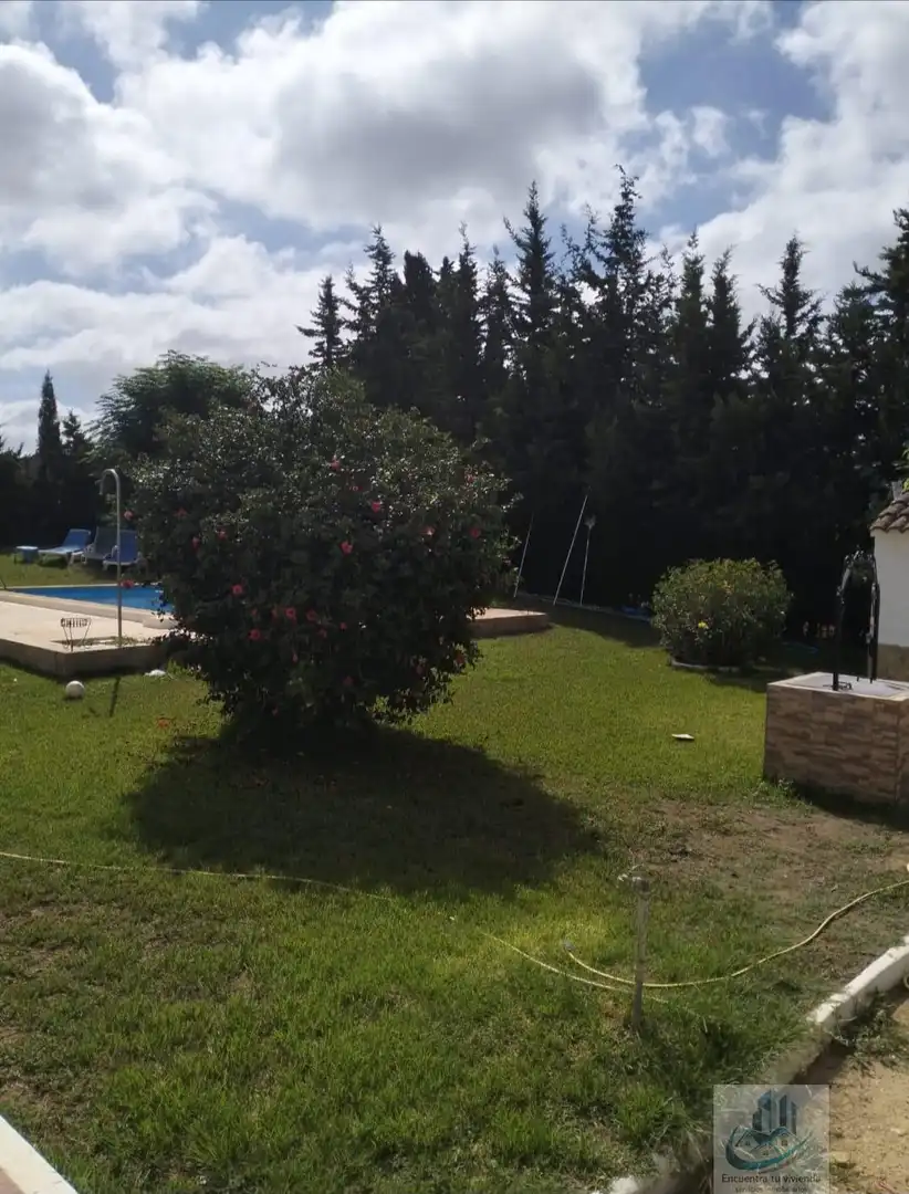 Jardí de Casa o xalet en venda en Chiclana de la Frontera amb Piscina i Alarma
