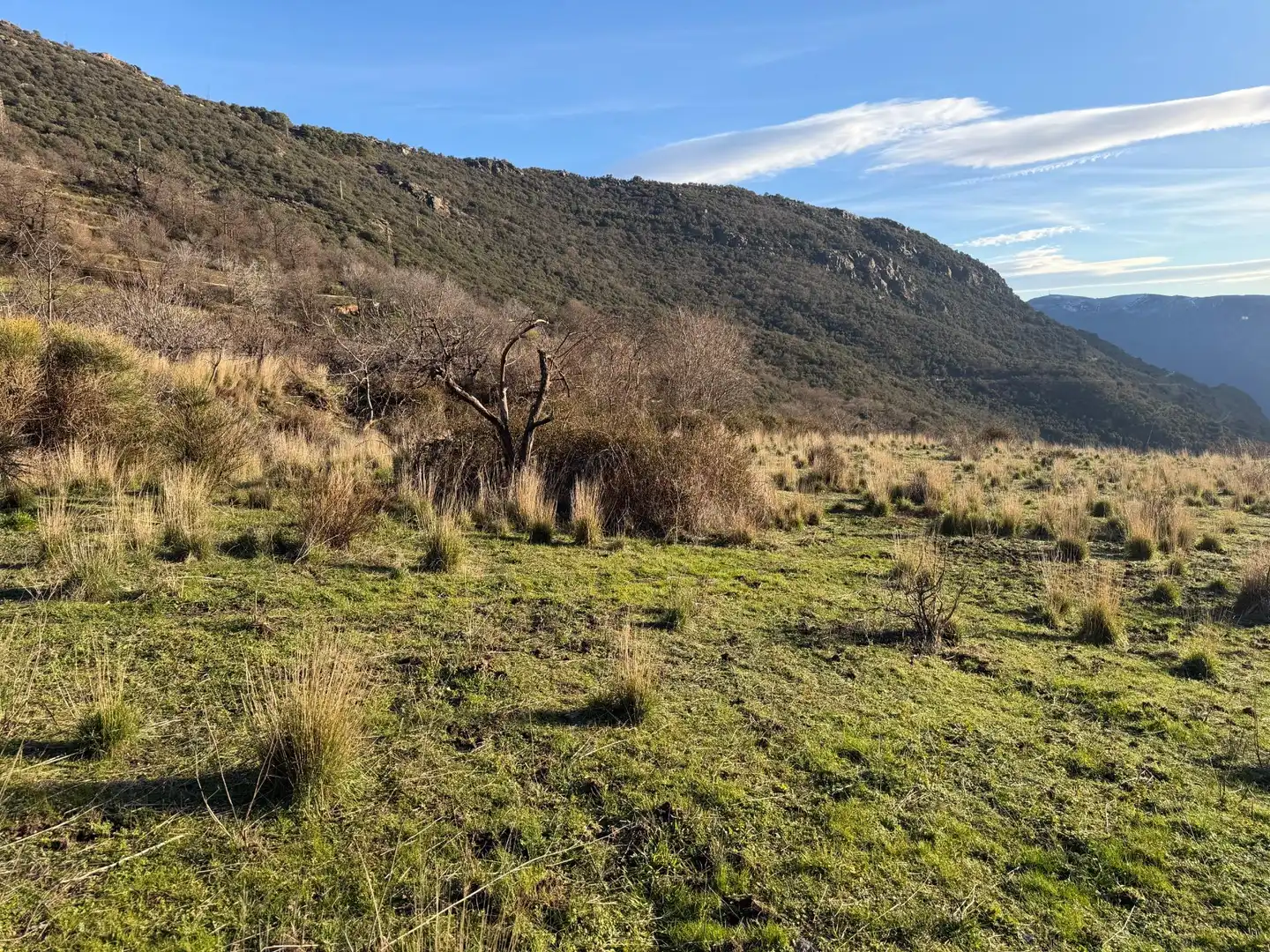 Rural land for sale in Bubión, imagen 8