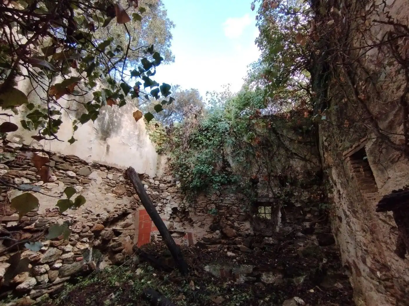 Jardí de Finca rústica en venda en Quart