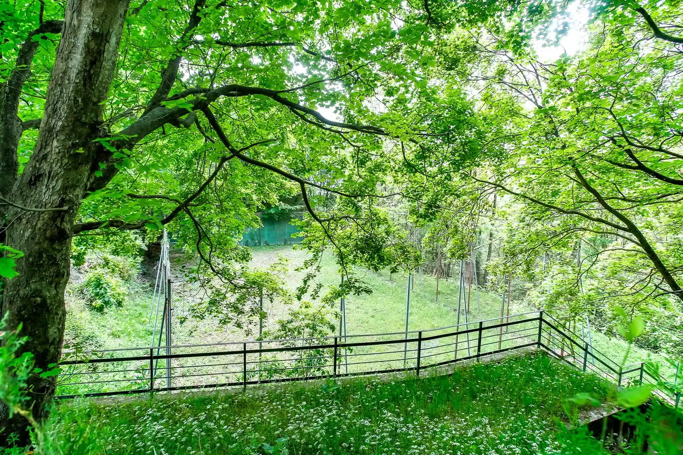 Garden of Country homes for sale in Fogars de Montclús
