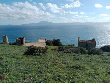 Terreno rustico in vendita a Tarifa - Polígono 46 Parcela 8 LOS ALELIES. TARIFA