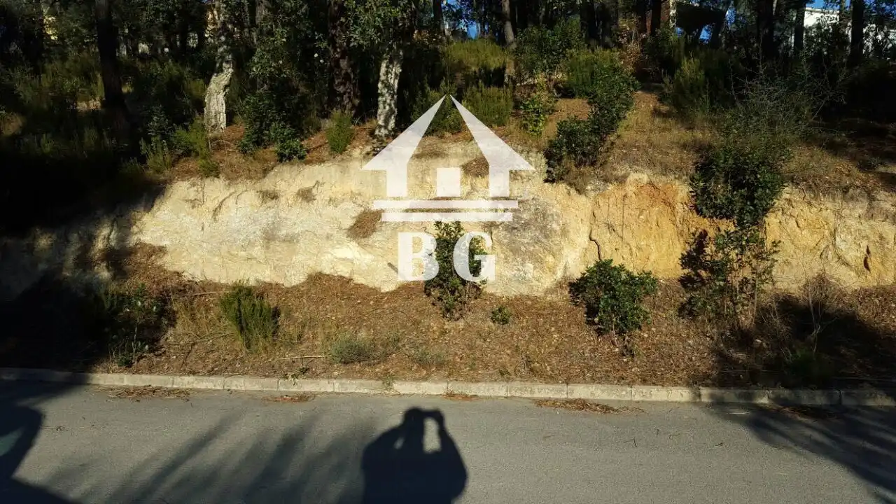 Rural land for sale in DÀLIA, imagen 2