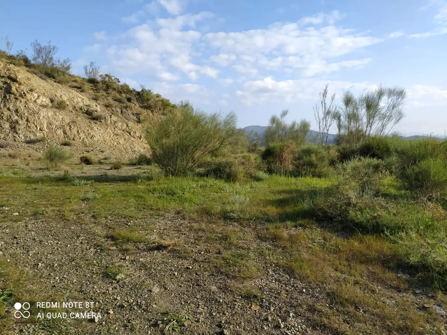 Rural land for sale in Nueva Aljaima - Las Tres Leguas - Los Mondeños, imagen 6