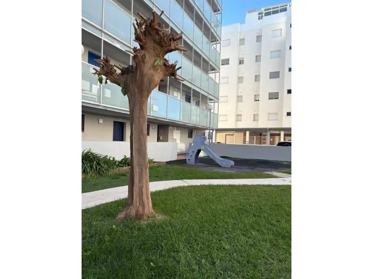 Vista exterior de Apartamento de alquiler en Daimús con Terraza y Piscina comunitaria