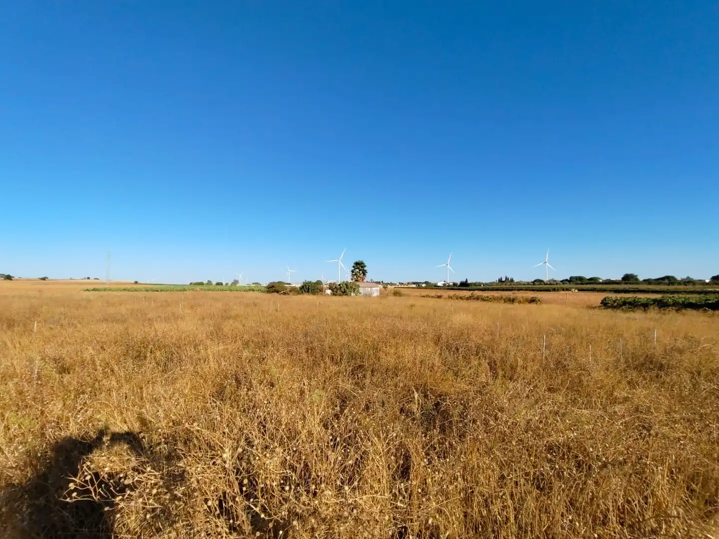 Rustikales Grundstück zum Verkauf in Villanueva Golf, imagen 11