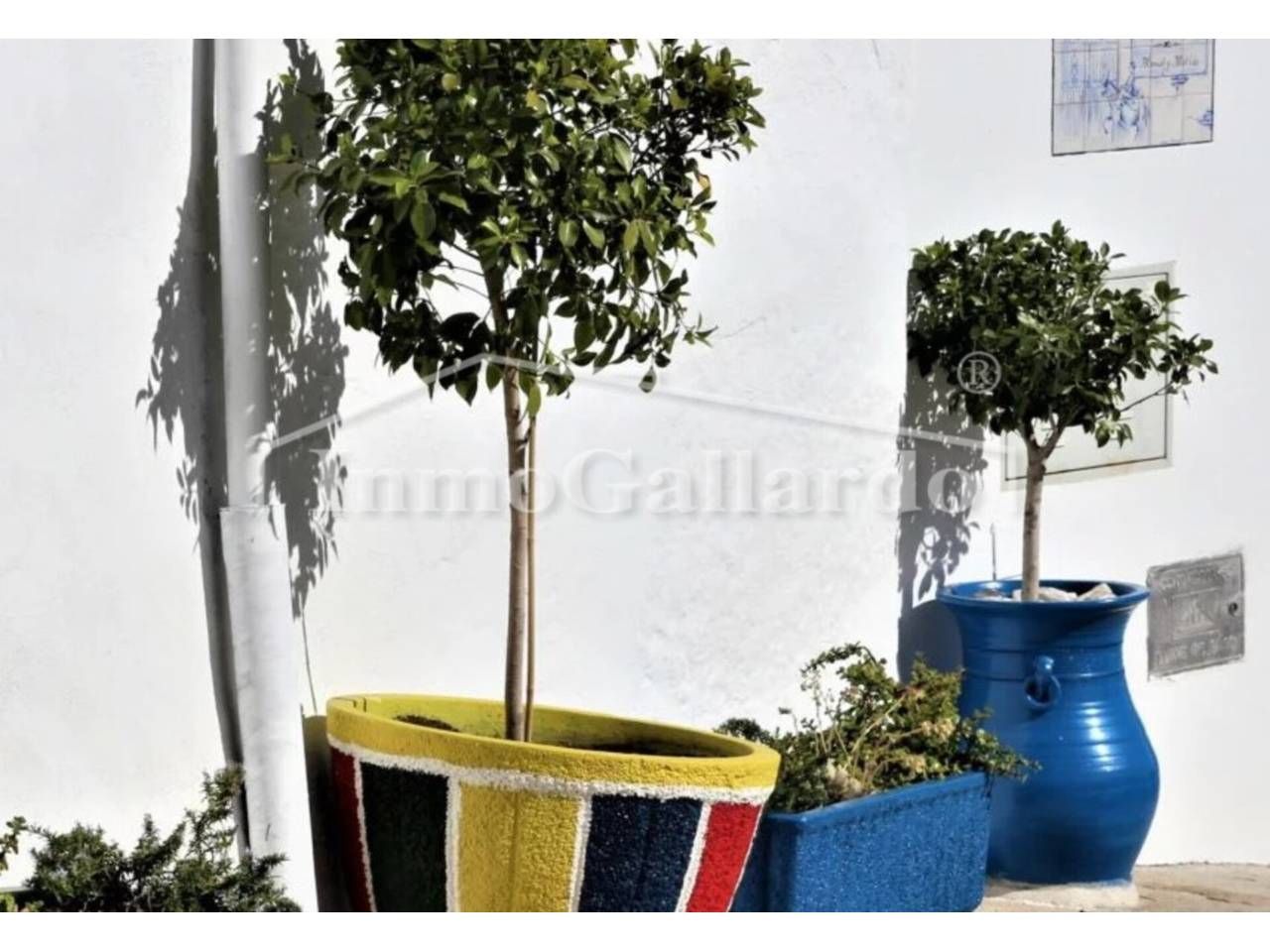 Casa o xalet en venda a Moclinejo