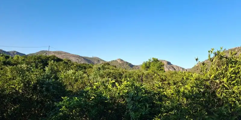 Terrain rustique à vendre à Terrenos MARXUQUERA  ALTA, imagen 7