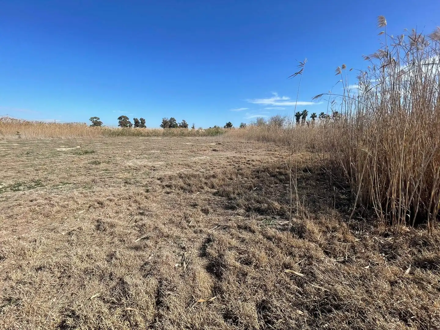 Terrain rustique à vendre à Algorós - El Derramador, imagen 4