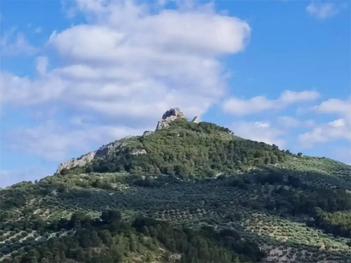 Terreno en venta en Jaén