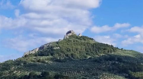 Foto 3 de Terreny en venda a Carretera de Otíñar, 29, Alcantarilla - La Glorieta, Jaén Capital