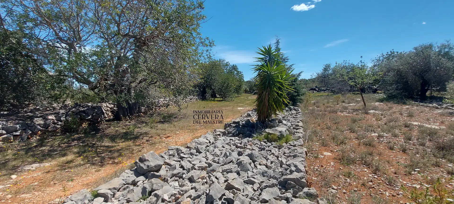 Terreno rustico in vendita a Cervera del Maestre, imagen 21