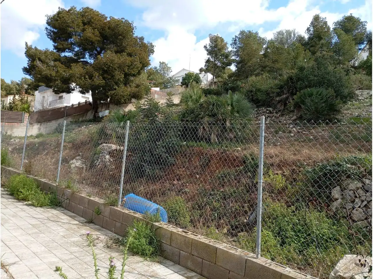 Terreny residencial en venda a Calle Gladiol, imagen 8