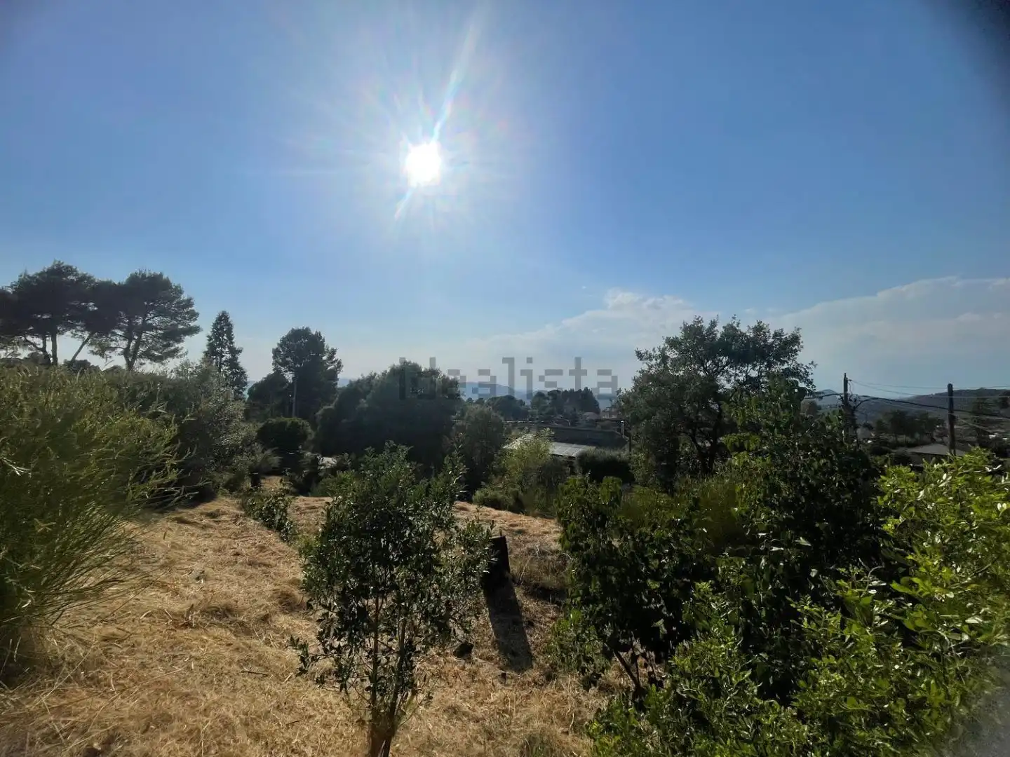 Residential land for sale in dels Avets 36, imagen 4
