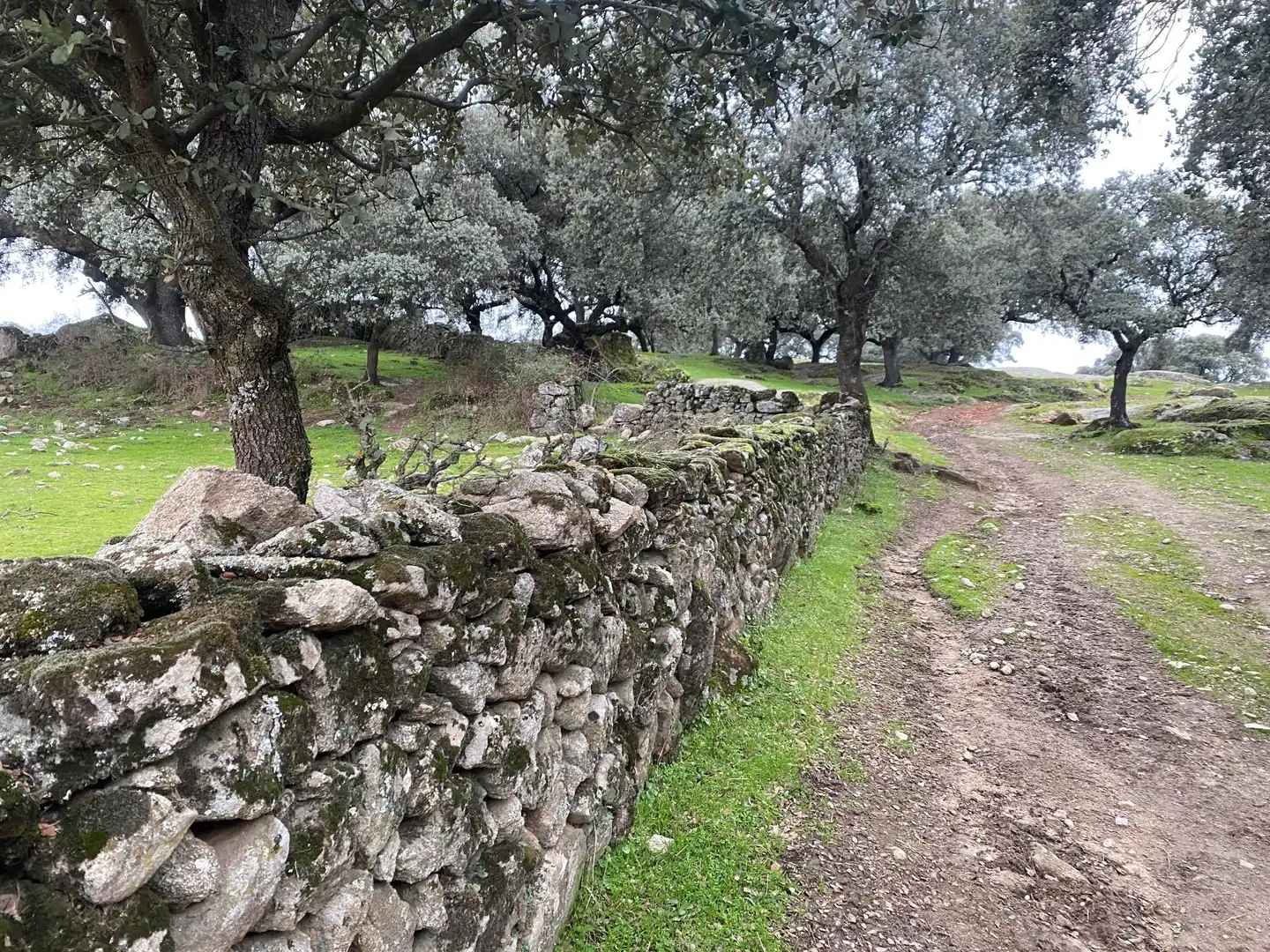 Vista exterior de Terreno en venta en Navamorcuende